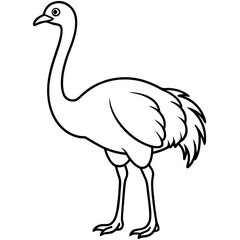 Sleek Ostrich Outline in Vector Style