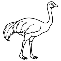 Obraz premium Sleek Ostrich Outline in Vector Style