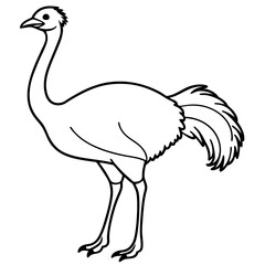Sleek Ostrich Outline in Vector Style