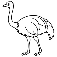 Sleek Ostrich Outline in Vector Style