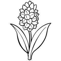 vector illustration of a flower