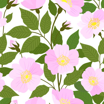 Rosehip branches with flowers seamless pattern. Vector floral background with pink flowers.