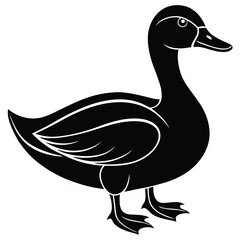 duck vector illustration