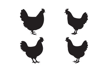 Farm Chicken Silhouettes Perfect for Logos, Stickers, and Prints