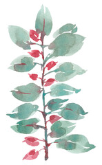 Watercolor branch with green leaves and red berries.