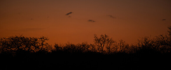 Landscape - Sunset in Kruger National Park South Africa