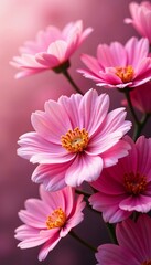 Fototapeta premium Close-up shot of various pink flowers creating a stunning backdrop, botanical, summer, spring