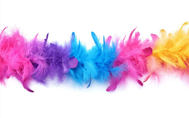 Extravagant Vibrant Feather Boa for Samba Parades Isolated On White background.