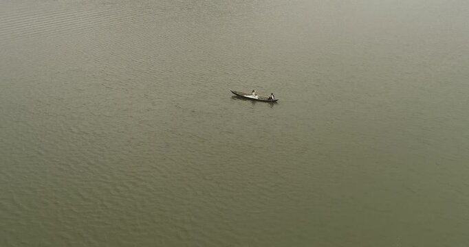 turtle on the water