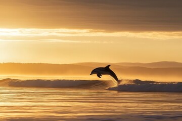 Dolphin leaping at sunset over ocean waves