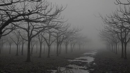 eerie view of an orchard with bare trees and fog creeping along the ground, creating a moody atmosphere - Powered by Adobe