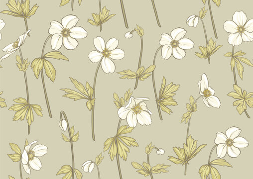 Forest Anemone flowers, decorative flowers and leaves Seamless pattern, background. Vector illustration. In botanical style