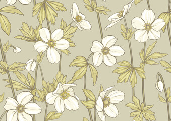 Forest Anemone flowers, decorative flowers and leaves Seamless pattern, background. Vector illustration. In botanical style