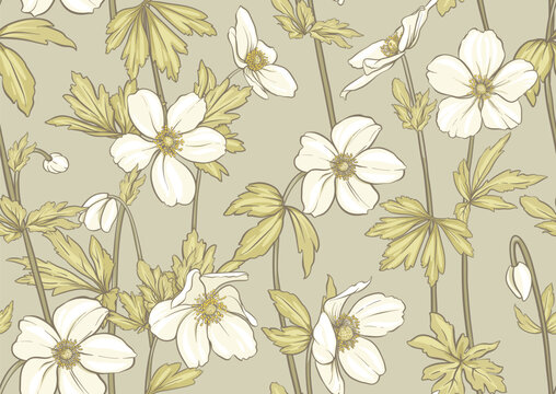 Forest Anemone flowers, decorative flowers and leaves Seamless pattern, background. Vector illustration. In botanical style
