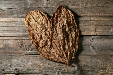 Dried tobacco leaves on wooden table, top view