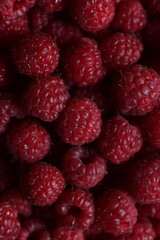 Close-Up of Fresh Ripe Red Raspberries with Detailed Texture and Vibrant Color