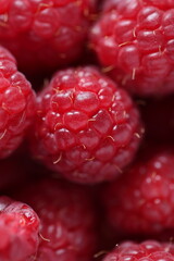 Close-Up of Fresh Ripe Red Raspberries with Detailed Texture and Vibrant Color