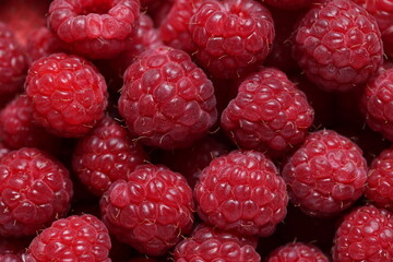 Close-Up of Fresh Ripe Red Raspberries with Detailed Texture and Vibrant Color