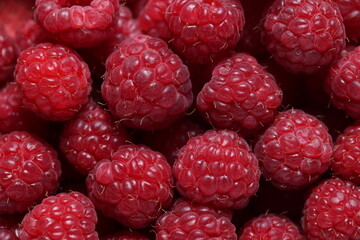 Close-Up of Fresh Ripe Red Raspberries with Detailed Texture and Vibrant Color