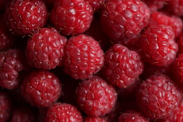Close-up Macro Shot of Fresh Red Raspberries with Detailed Texture