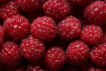 Close-up Macro Shot of Fresh Red Raspberries with Detailed Texture