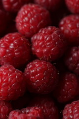 Close-up Macro Shot of Fresh Red Raspberries with Detailed Texture