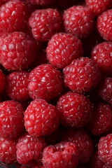 Close-up Macro Shot of Fresh Red Raspberries with Detailed Texture