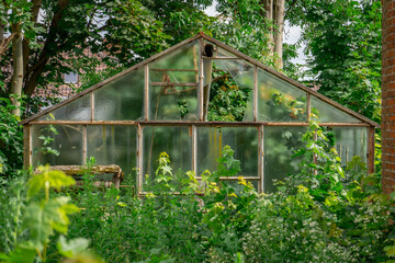 abandoned overgrown greenhouse standing next to an abandoned house in the countryside on a beautiful summer day