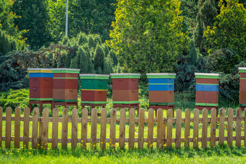 colorful hives for bees standing in the city in the park behind a wooden fence