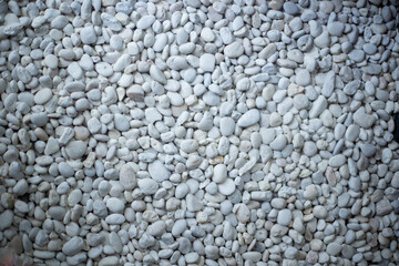 texture of a white rough river stone ground floor background
