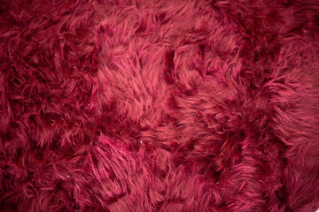 close up Luxurious long haired velvet in a deep wine red shade background