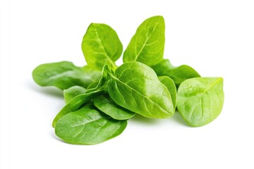 Fototapeta premium Fresh spinach leaves piled high on a white surface