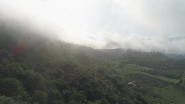 fog in the mountains