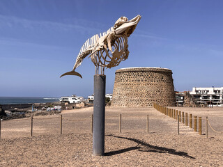 Monumento a los cetáceos, esqueleto de un zifios común y Torre de El Tostón. Playa de El Cotillo...
