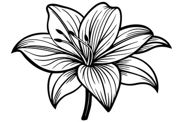 Minimalist Amaryllis &ndash; Stunning Vector Silhouette