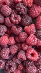 raspberry close up