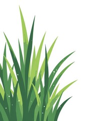 Fresh Green Grass Blades, Minimalist Flat Color Illustration, Studio Lighting, Copy Space for Text