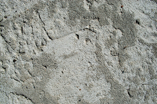 A concrete surface reveals intricate textures and patterns under sunlight, showcasing shadows and natural markings. This setting offers a detailed view of industrial materials blending with nature. Co