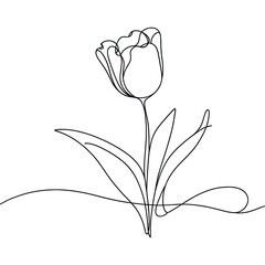 Tulip one line drawing.Abstract flower continuous line. Minimalist contour drawing of tulip. Continuous line drawing of flower tulip.Hand drawn sketch of flower with leaves