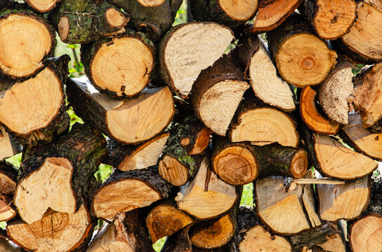 Drewniana rozpałka &ndash; przygotowanie do ogniska