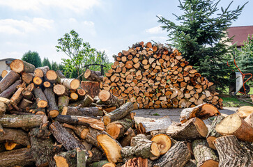 Zapas drewna na zimowe wieczory