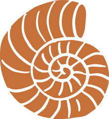 Vintage nautilus shell illustration 