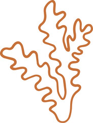Linear hand-drawn seaweed illustration 