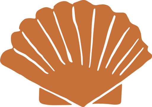 Vintage seashell illustration 