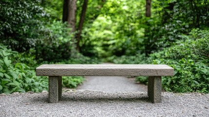 Fototapeta premium Empty Stone Bench in Garden Path