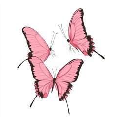 Obraz premium Three elegant pink butterflies with delicate black edges fluttering gracefully.
