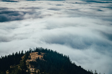 The Endless Whisper of the Wind Over the Fog-Drenched Ridges of the Carpathians