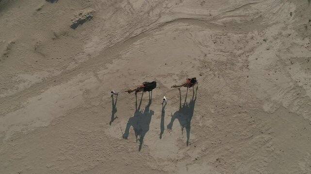 people on the sand and camel