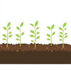 Five young green plants sprouting from rich brown soil, symbolizing growth and renewal.
