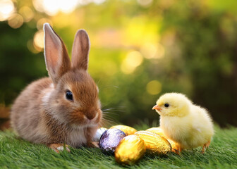 Easter bunny and chick playing with eggs